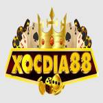 XÓC ĐĨA 88 Profile Picture