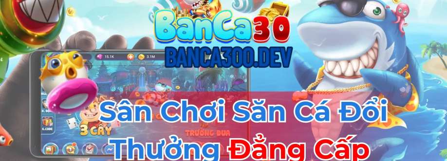 Banca300 Dev Cover Image