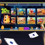 casinotyboi Profile Picture