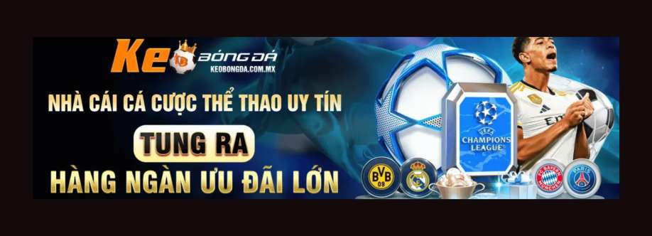 Tran Dong Hai Chuyen Gia Soi Keo Cover Image