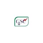 GSC Infra Solutions private limited Profile Picture