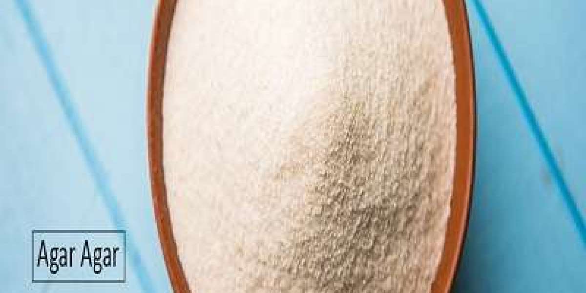 Agar Agar Prices 2025, Size, Trend, Graph, News and Forecast