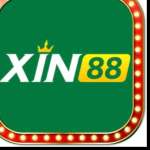 Nhà cái XIN88 Profile Picture