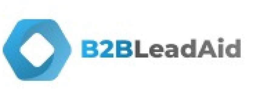 B2B Leadaid Cover Image