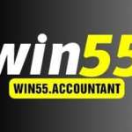WIN55 Nhà Cái 55WIN Profile Picture