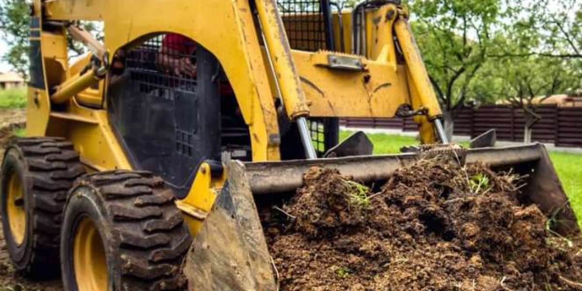 Dennis Residents Trust Champion Tree Work for Stump Grinding