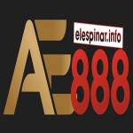 AE888 elespinar Profile Picture