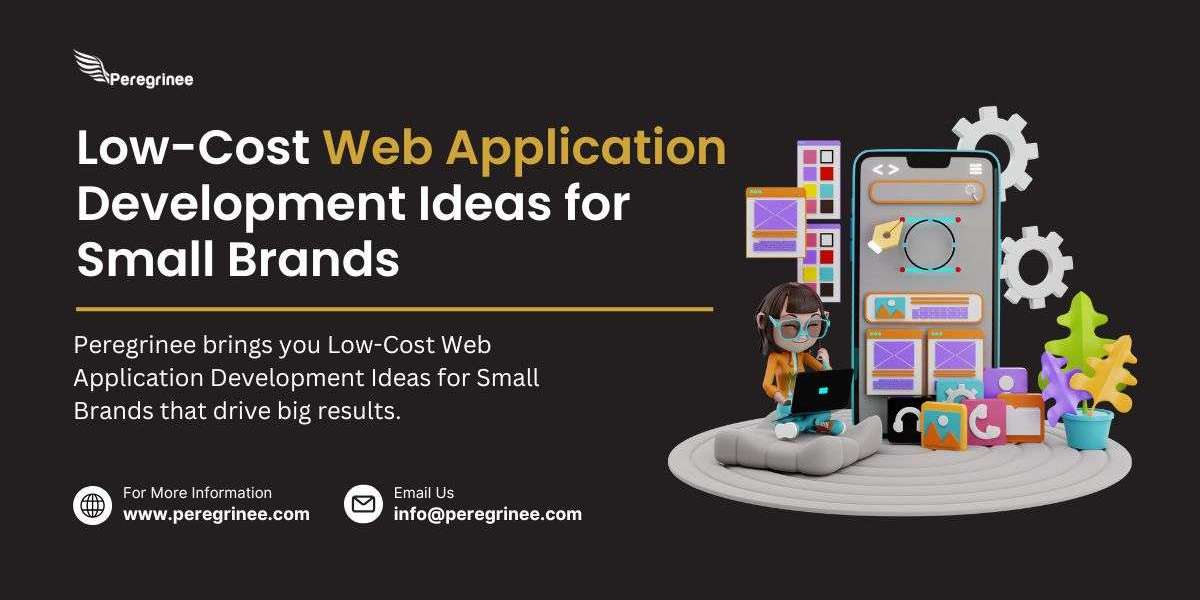 Low-Cost Web Application Development Ideas for Small Brands