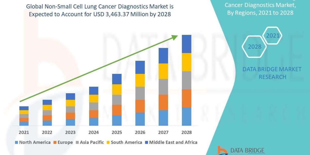 Non-Small Cell Lung Cancer Diagnostics Market Size, Share, Demand, Future Growth, Challenges and Competitive Analysis