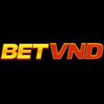 betvnd Nhà Cái Uy Tín và Sân Chơi Đẳng  Profile Picture