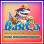 Ban Ca Doi Thuong Game Giai Tri Profile Picture