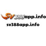 SV388 Profile Picture