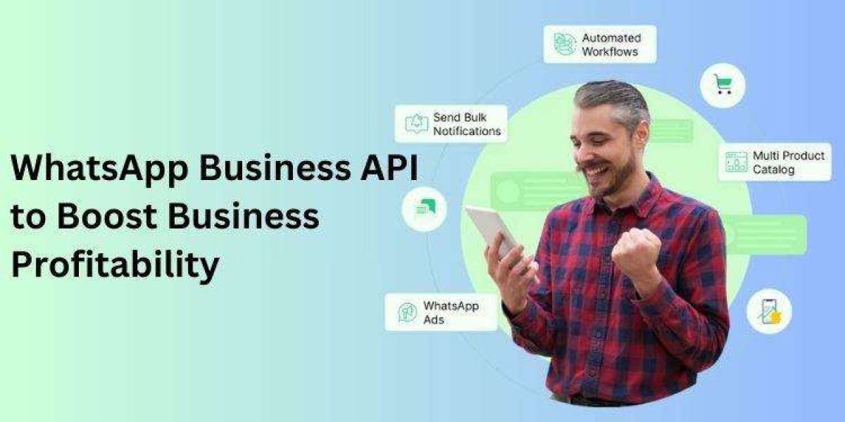 Unlock Business Growth with WhatsApp Business API: A Complete Guide by WebMaxy