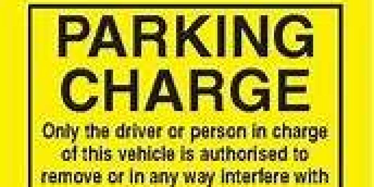 Step-by-Step Guide How Combined Parking Solutions Handles the Process of Issuing Parking Tickets on Private Land