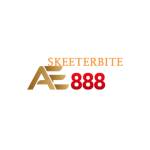 AE888 skeeterbite Profile Picture