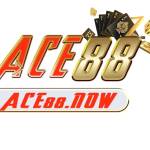 ace 88 Profile Picture