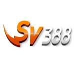 SV388 net Profile Picture