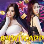 Nha Cai 84Win Profile Picture