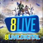 8live digital Profile Picture