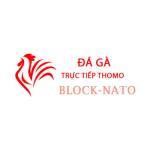 Đá Gà Trực Tiếp Thomo Profile Picture