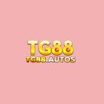 tg88 autos Profile Picture