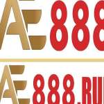 ae888 run Profile Picture