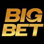Bigbetcom co Profile Picture
