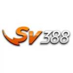 SV388 388 Profile Picture