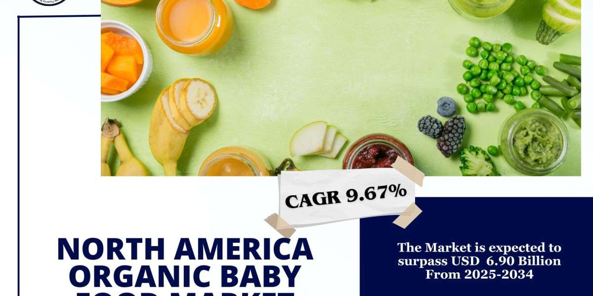 North America Organic Baby Food Market Size, Scope, Demand and Future Investment Opportunities 2034: SPER Market Researc
