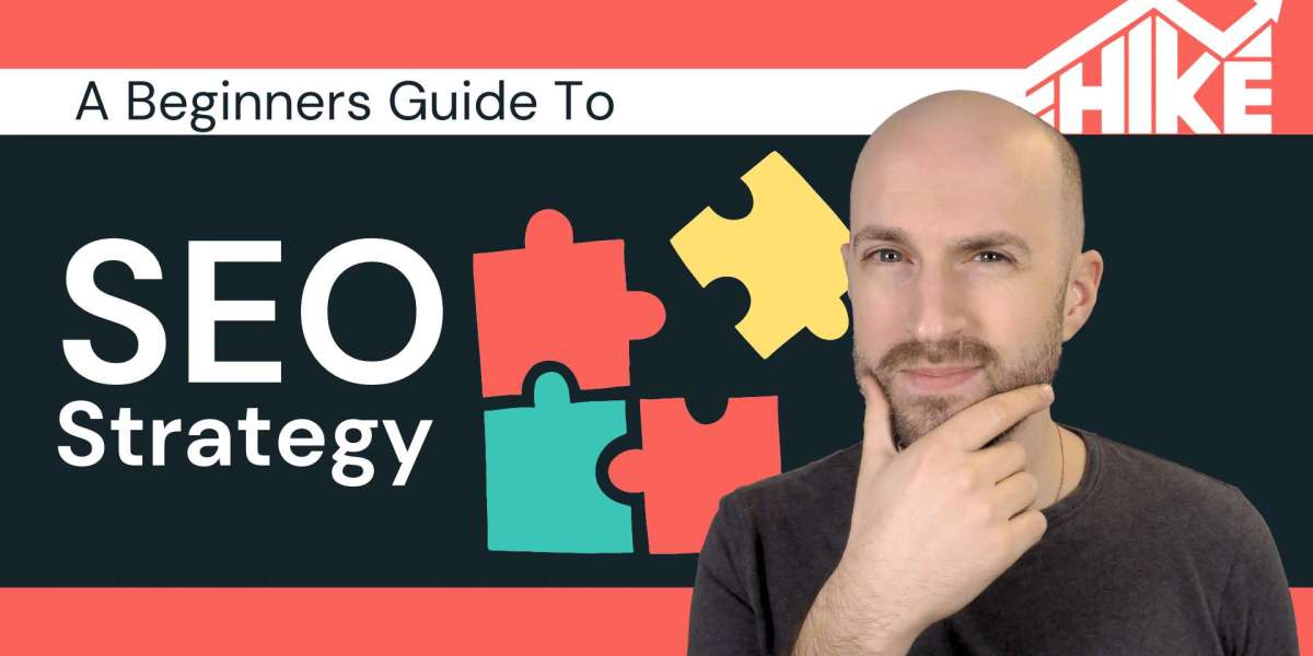 Understanding Diy Seo Software