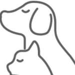 Jerry McNulty Profile Picture
