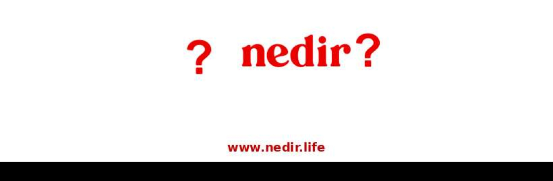 nedirlife Cover Image