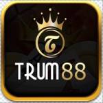 TRUM88 Top Nhà Cái Uy Tín Profile Picture