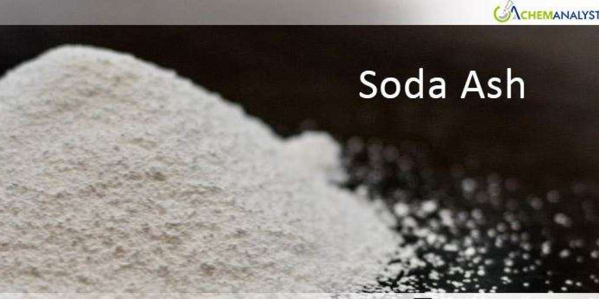 Soda Ash Prices: Market Analysis, Trend, News, Graph and Demand