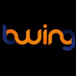 B wing Profile Picture