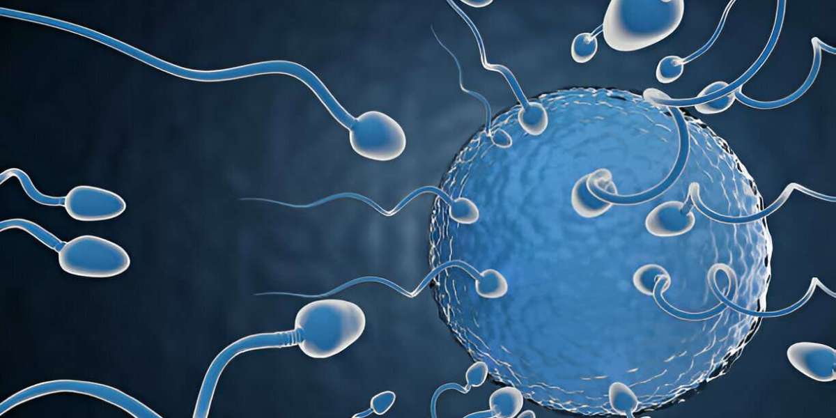 What is the Micro TESE Procedure? A Simple Guide to Sperm Retrieval