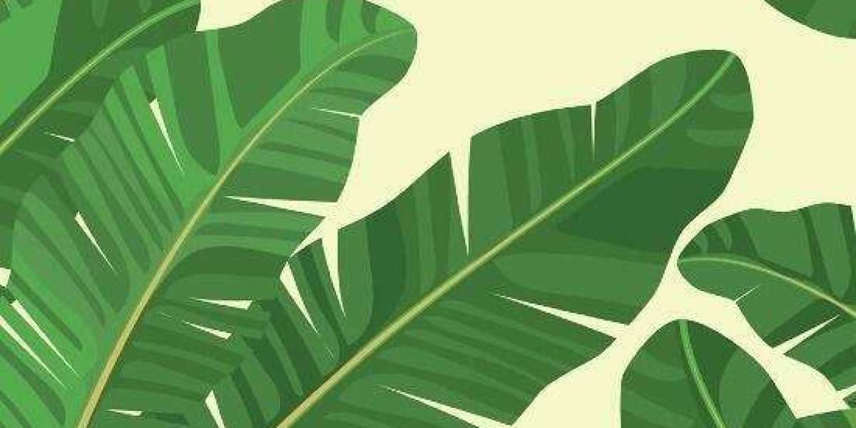 What is hR Outsourcing?