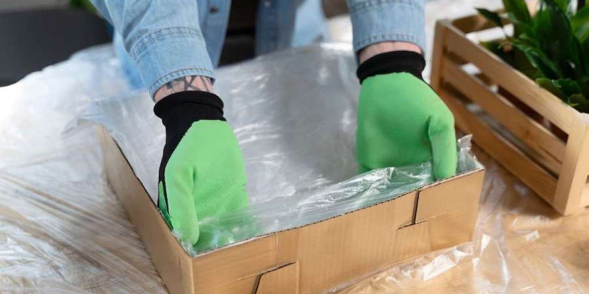 Report on Cost Requirements for Setting Up a Biodegradable Compostable Film Manufacturing Plant