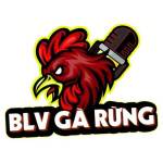 BLV GÀRỪNG profile picture