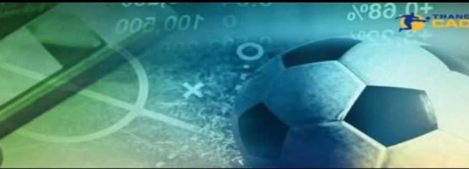 Trang Cá Độ Bóng Đá Cover Image