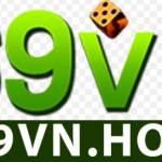 69vn Profile Picture