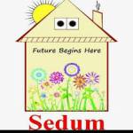 Sedum Rehab School Profile Picture