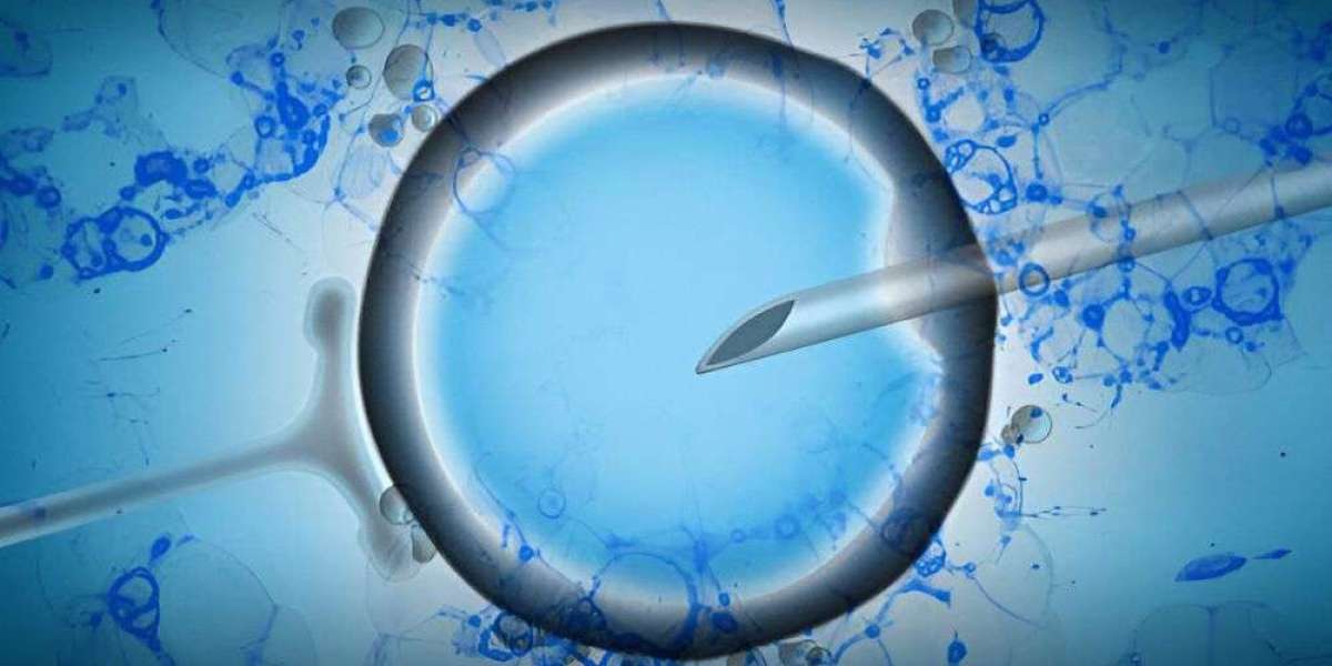 Assisted Reproductive Technology Market Size, Trends, Competitive Landscape, Business Statistics and Forecast till 2030