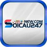 Soi cầu 247 Soi Cầu Chính Xác Top 1 Việt Nam Profile Picture