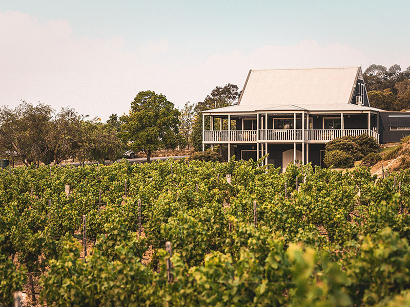 Award-Winning Winery in Hunter Valley l Wine Cellar | Ivanhoe