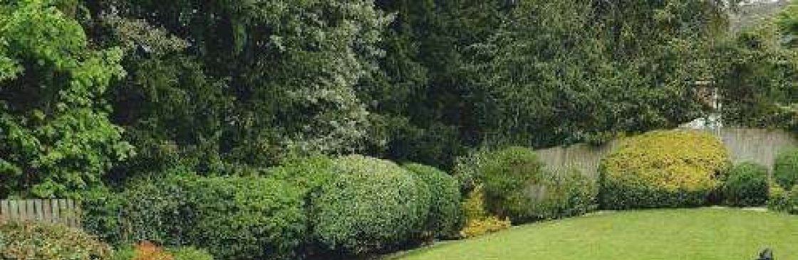 Lush Green Turf Landscaping Cover Image