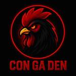 congadenlive Profile Picture