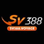 sv388voyage Profile Picture