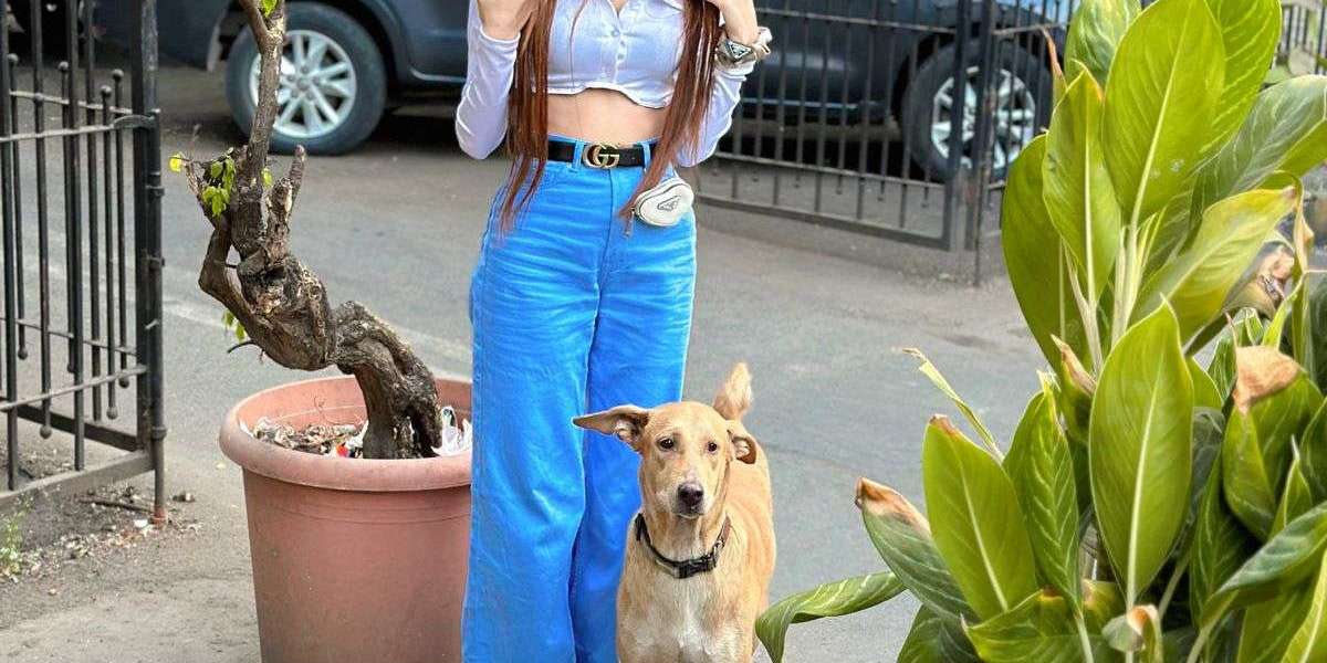 Call Girl in Dehradun - Your Complete Guide to Our Services