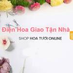 hoatuoibacninh Profile Picture